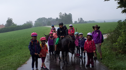 Kurs Esel- und Ponyreiten