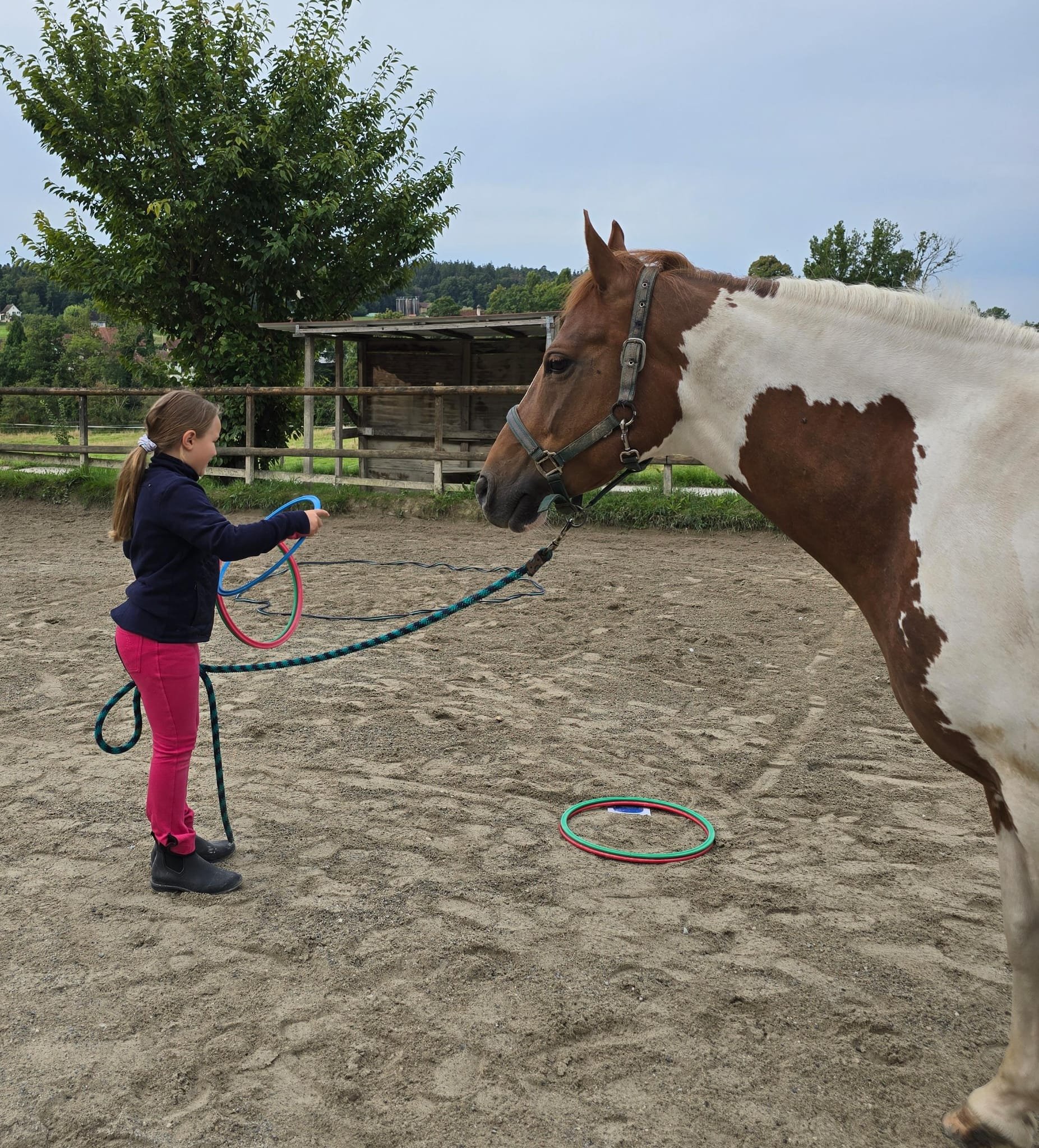Teamspiel mit Pferd 2025