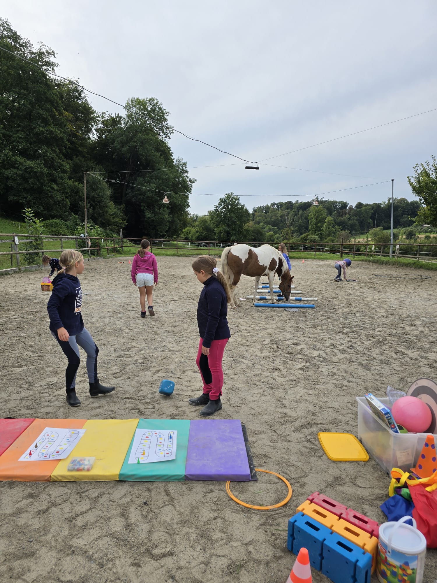 Teamspiel mit Pferd 2025