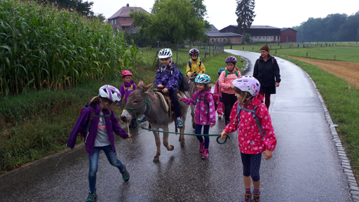 Kurs Esel- und Ponyreiten