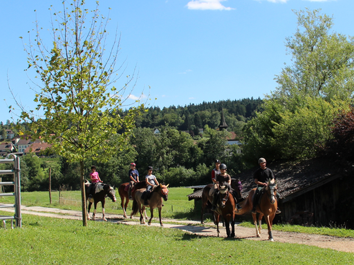 Reiten auf dem Mattenhof