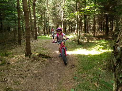 Kurs Mountainbike